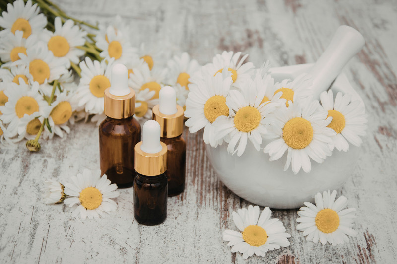 רוגע טבעי לגוף - חוו את סגולות ההרגעה של פרחי הבאך